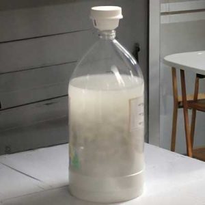 Bleach solution in a battle, which is a chemical for chemical sterilization of mushroom substrates.
