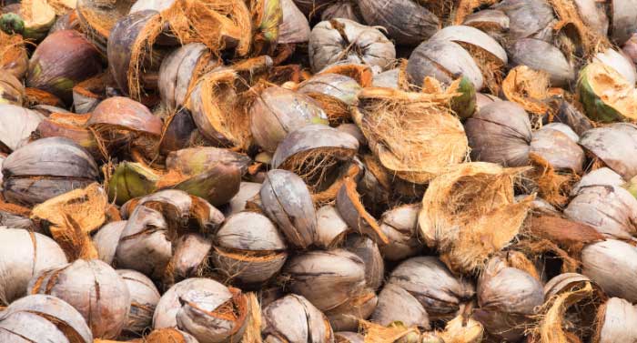 A close-up view of a pile of discarded coconut shells and husks.