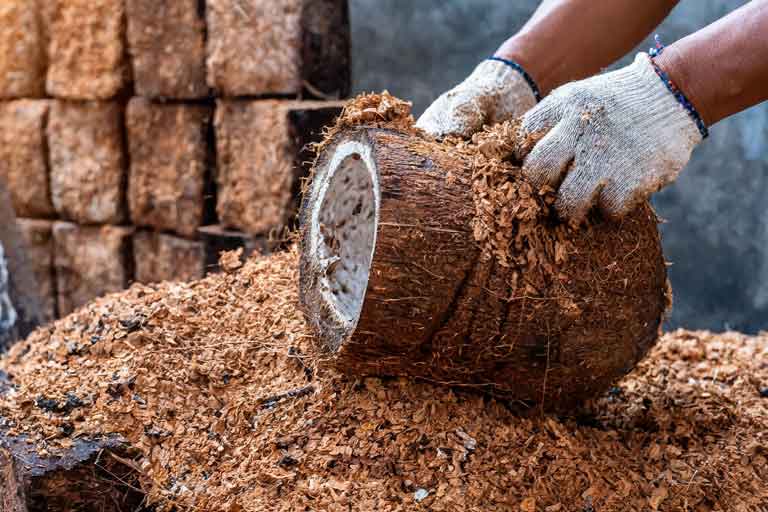 The process of obtaining coconut fiber and converting it into coco coir bricks.