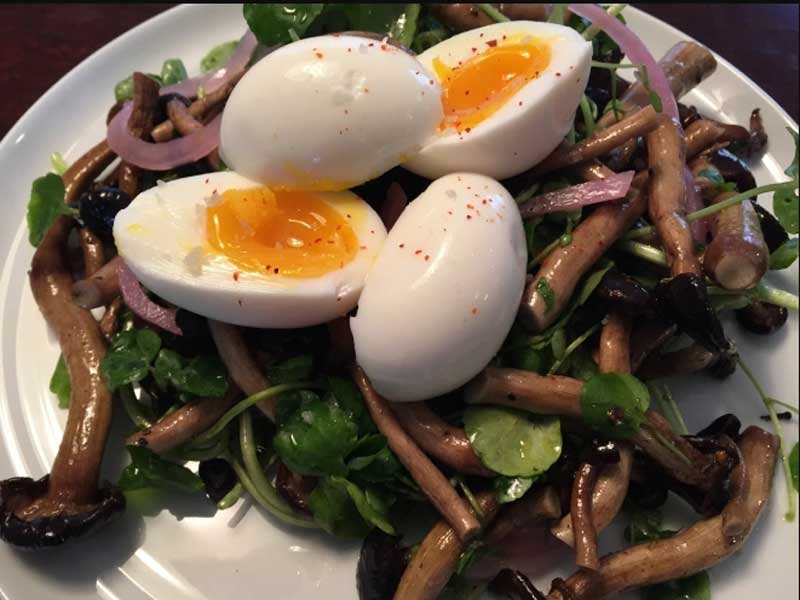 A solid consisting of fresh greens, sautéed pioppino mushrooms, and topped with three soft-boiled eggs cut in half.