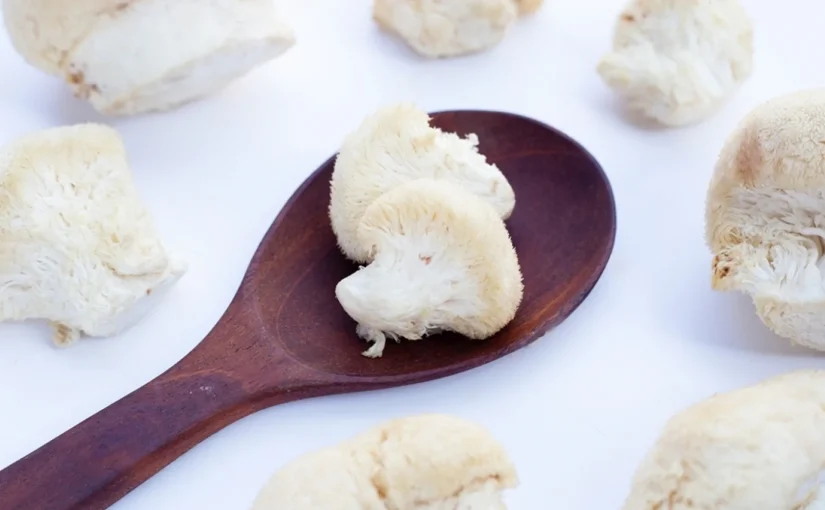 Fresh Lion's Mane mushrooms on a wooden spoon and scattered on a white background, ready for making tincture.