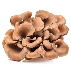 A cluster of Maitake mushrooms (Grifola frondosa) with light brown, frilly, layered caps.