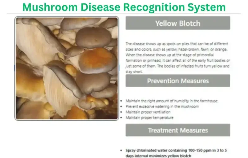 Titled 'Mushroom Disease Recognition System' displays symptoms of Yellow Blotch disease, prevention, and treatment.